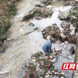 绥宁鹅公岭乡：多措并举助力河长制