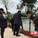 植新绿、种希望 望城街镇开展“雷锋林”义务植树活动