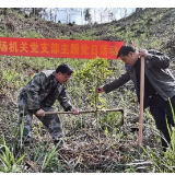 道县月岩林场年度造林任务超额完成