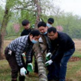 新田：环卫园林中心义务植树 为北湖湿地公园添新绿