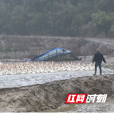 信息化助农行动|醴陵船湾镇8000羽鹅滞销 急寻吃货 