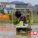 长沙县抛秧“神器”助力春耕 一小时可播种900多个穴盘