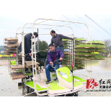湘潭县抛秧“利器”助春播