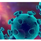 老挝国家社会科学院副院长劳宝松：对中国战胜疫情恢复经济充满信心