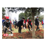 常德市园林绿化服务中心将“主题党日”和“植树节”结合，打造党员先锋林