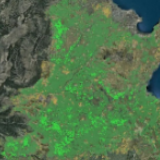 卫星发现一个信号：中国耕地正在绿起来