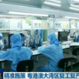 精准施策 粤港澳大湾区复工复产加速