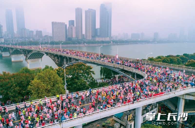 2019长马盛况。资料图片