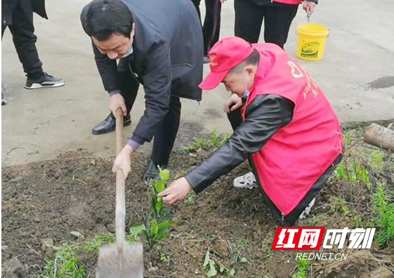 石门县自然资源局：开展“远学雷锋 近学田工”义务植树活动