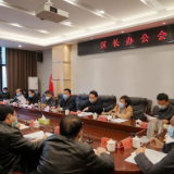 岳阳楼区政府区长办公会召开