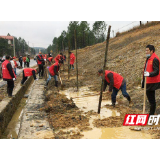 植树造林 邵阳县5000余名志愿者齐参与