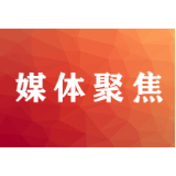 我们“云”种树31颗啦!