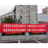 疫情防控｜芷江法院公布保护野生动物典型案例