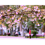 芙蓉·诗歌丨韩东：叙事诗