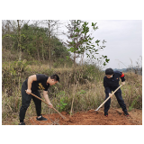 麻阳：防控战役不松劲  植树添绿正当时