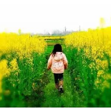 打卡油菜花地，安全防护莫忘记