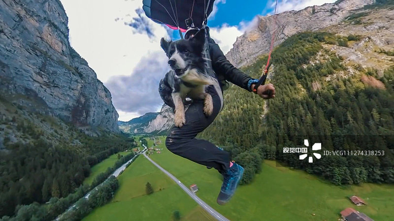 2020年3月11日（具体拍摄时间不详），瑞士劳特布伦嫩，6岁边境牧羊犬Kazuza经常和他38岁的主人Bruno Valente一起表演惊险刺激的动作，并完成其汪生第40次低空跳伞。主人的朋友、电影制作人、33岁Jokke Sommer最近拍摄了一人一狗从瑞士劳特布伦嫩600米的悬崖上低空跳伞的画面。