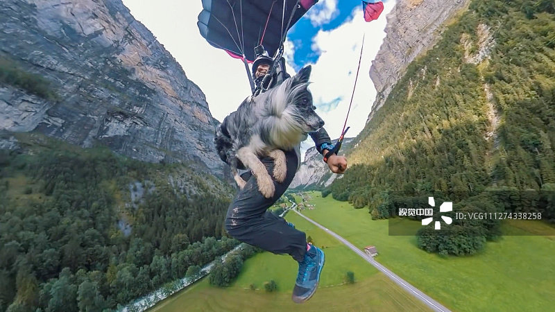 2020年3月11日（具体拍摄时间不详），瑞士劳特布伦嫩，6岁边境牧羊犬Kazuza经常和他38岁的主人Bruno Valente一起表演惊险刺激的动作，并完成其汪生第40次低空跳伞。主人的朋友、电影制作人、33岁Jokke Sommer最近拍摄了一人一狗从瑞士劳特布伦嫩600米的悬崖上低空跳伞的画面。