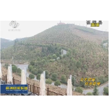 万樟园林：全面复工推进项目建设