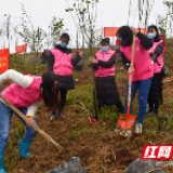 永州：抗疫正当时 巾帼植树忙