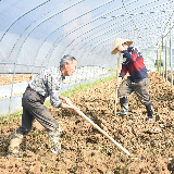 益阳高新区：保障春耕生产 助力复工复产