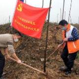 冷水滩社工：义务植树 播种希望