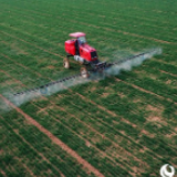 河南：守住“三农”基本盘 打赢疫情阻击战