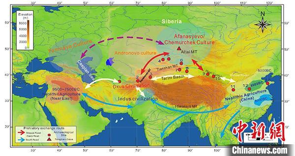 小麦青稞何时传入中国？最新研究定格距今5200年