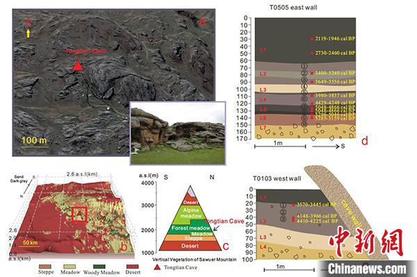研究点与研究区域概况，a。通天洞遗址照片；b。通天洞遗址周边植被分布特征；c。萨乌尔山垂直植被特征；d、e。相关探方地层及年代分布。周新郢供图