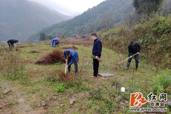 双牌塘底乡植树造林绿美乡村