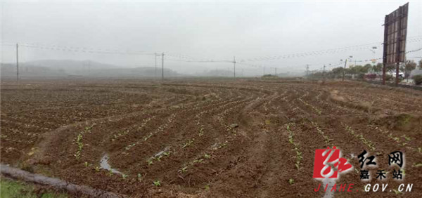 ????_20200313100641_??.jpg ????_20200313100641_??.jpg