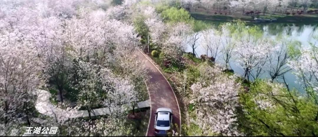 ????_20200313094624.jpg ????_20200313094624.jpg