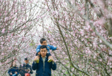 道县：春花灿烂 乐享春光