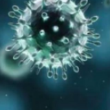 法国新增839例新冠肺炎确诊病例，累计确诊4500例