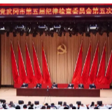 中共武冈市第五届纪委第五次全体会议召开