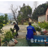 渌口区林业局：油茶苗免费送 为贫困群众种下“绿色希望”