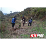 沅陵县全家村：防疫、备耕、脱贫“齐步走”