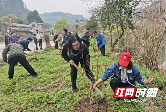 期待来年春天，门前溪水绿粼粼，满坞桃花香醉人。.jpg