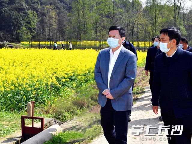今日，省委常委、市委书记胡衡华调研全市防汛备汛、农民增收等工作时，走进望城区茶亭镇的油菜花田，了解当地乡村休闲游复工复业情况，并为农户加油鼓劲。长沙晚报全媒体记者 周柏平 摄