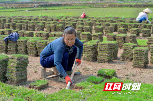 WechatIMG10_meitu_12.jpg WechatIMG10_meitu_12.jpg