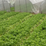 来打卡！在秀美大托开启和春天的“约会”