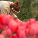 湖南省植物园人流渐增 市民赏花起舞享春光 
