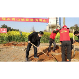 植绿添彩美华容