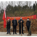 晏田乡：春回大地万物苏 植树防疫两不误