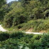 东安：修建扶贫道路 畅通致富“脉搏”