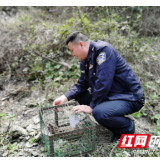 龙山：捡鸟蛋孵出保护动物 私自饲养被查获