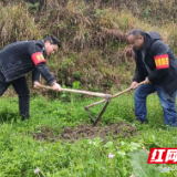 仰天湖瑶族乡：“战疫”不松劲 “战贫”不打烊