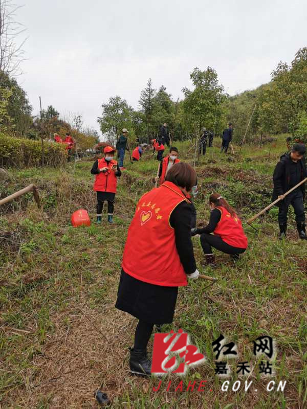 ???????2_??.jpg ???????2_??.jpg