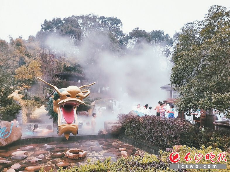 　　紫龙湾温泉酒店里，游客们正惬意享受桃花温泉。受访方供图