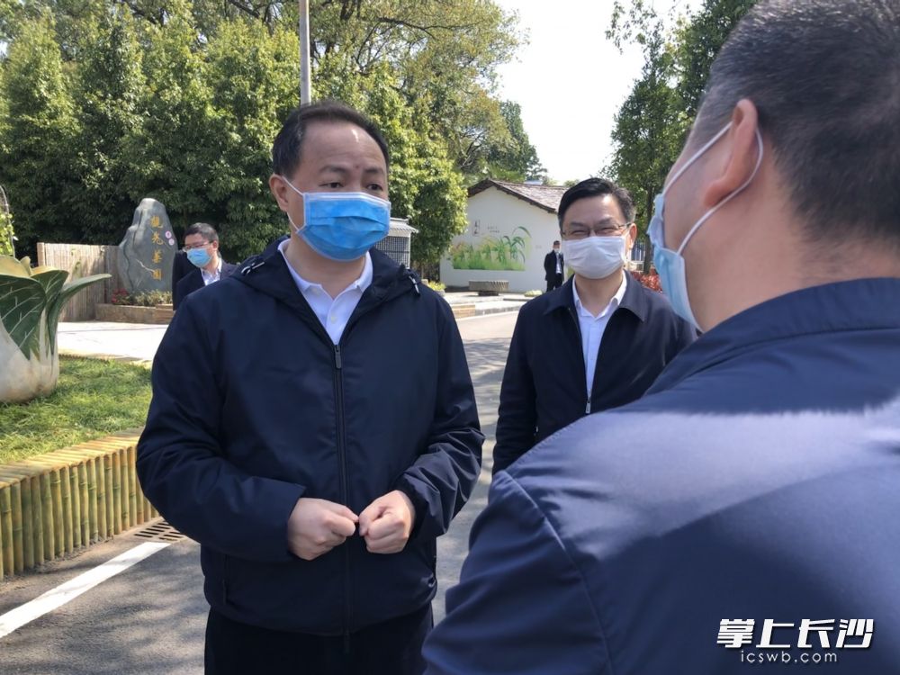 郑建新在官渡镇竹联村调研。 全媒体记者 黄汝兮 摄